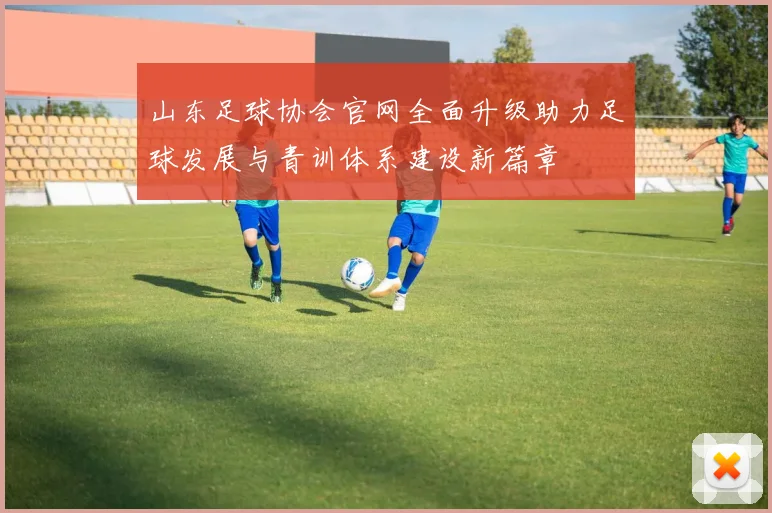 山东足球协会官网全面升级助力足球发展与青训体系建设新篇章