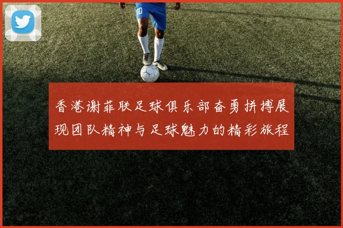 香港谢菲联足球俱乐部奋勇拼搏展现团队精神与足球魅力的精彩旅程