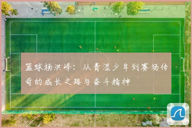 篮球杨洪峰：从青涩少年到赛场传奇的成长之路与奋斗精神