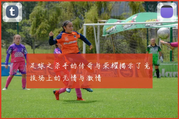 足球之杀手的传奇与荣耀揭示了竞技场上的无情与激情